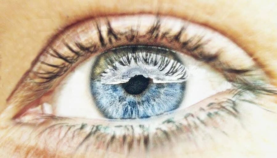 The seeing eye — Journey With Me