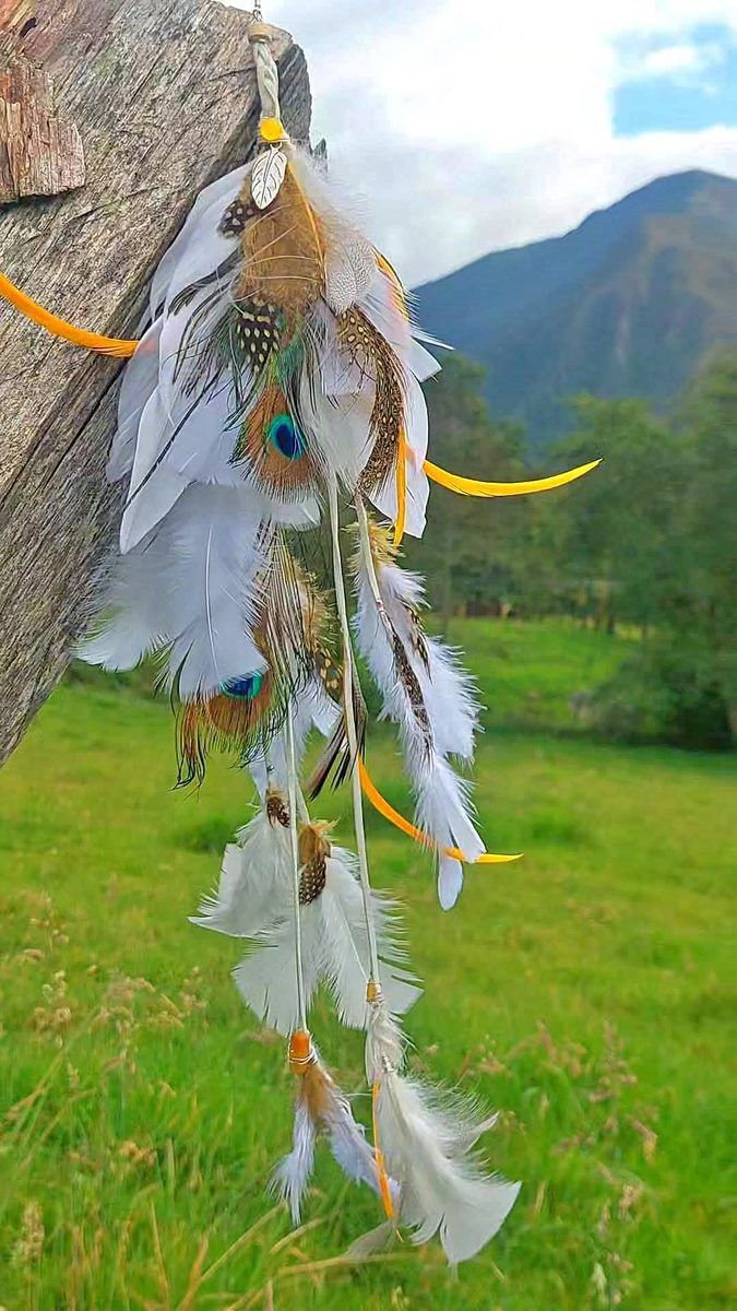 Feather dreamcatcher mountains